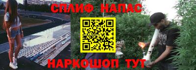 хмурый Будённовск