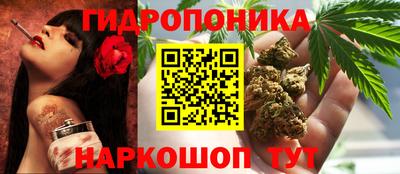 хмурый Будённовск