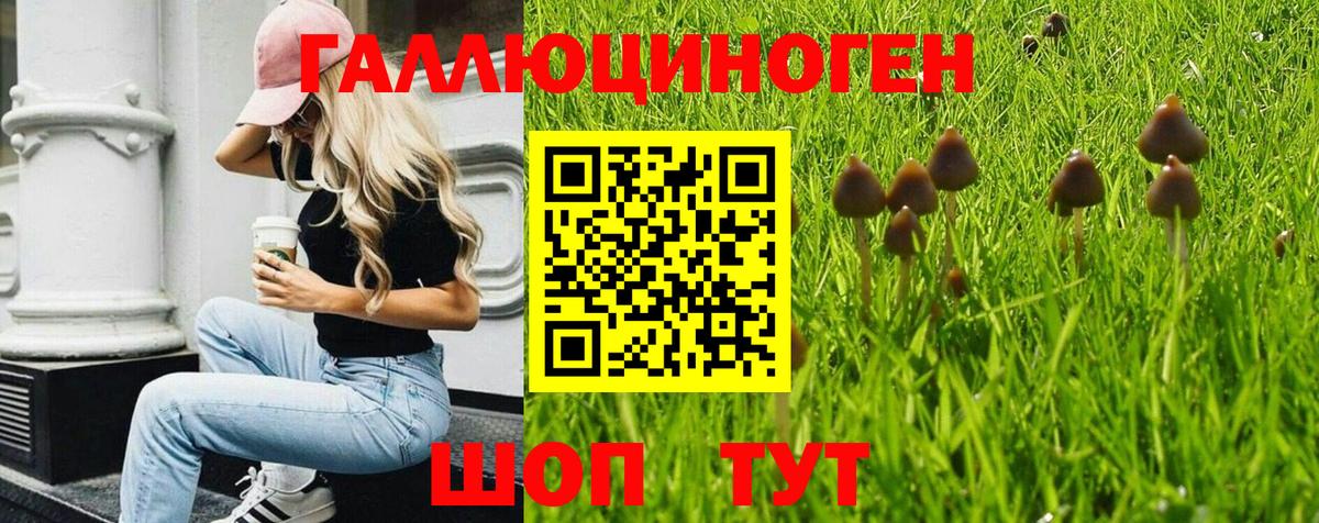Псилоцибиновые грибы Psilocybe Ливны