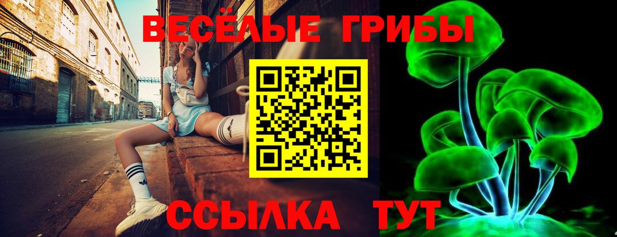 Ливны  Псилоцибиновые грибы мухоморы  Галлюциногенные грибы GOLDEN TEACHER  Вход с VPN 